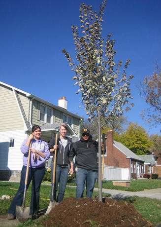 UM-Dearborn students planting a tree