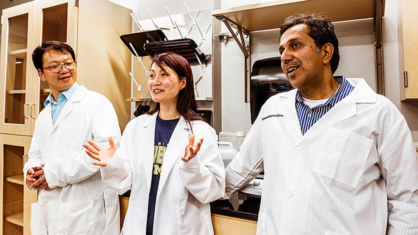 From left: U-M researcher Guojun Shi and UM-Dearborn faculty Zhi “Elena” Zhang and Krisanu Bandyopadhyay are working together with nearly 10 UM-Dearborn undergraduate students to find a way to get effective medicine across the blood-brain barrier.